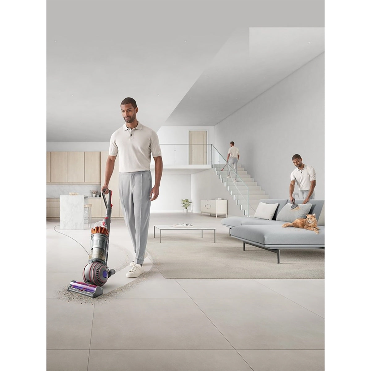 Dyson BALLANIMALMFNEW Ball Animal Multi-Floor Upright Vacuum Cleaner - Silver