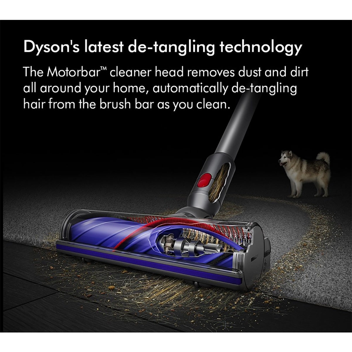 Dyson V8ABS-2023 Cordless Stick Vacuum Cleaner, 40 Minutes Run Time - Silver/Yellow