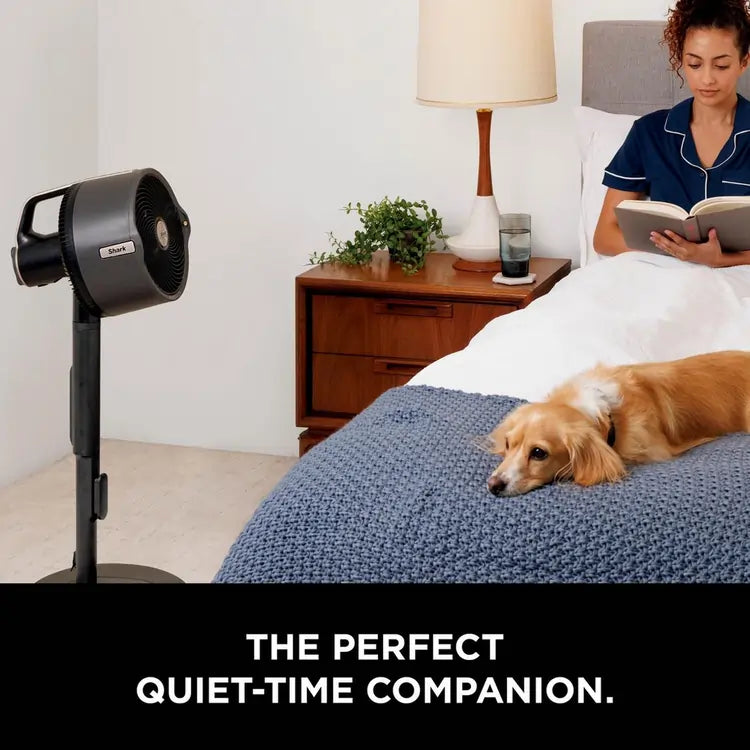 Shark FA300UK FlexBreeze Pro Mist Indoor & Outdoor Fan & Outdoor Misting System - Dark Grey, Charcoal