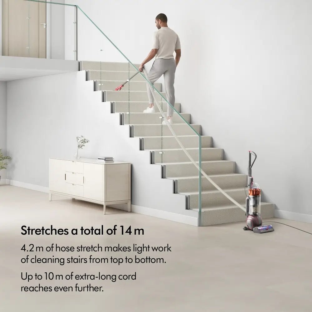 Dyson BALLANIMALORIG Ball Animal Origin Upright Vacuum Cleaner - Silver | Atlantic Electrics