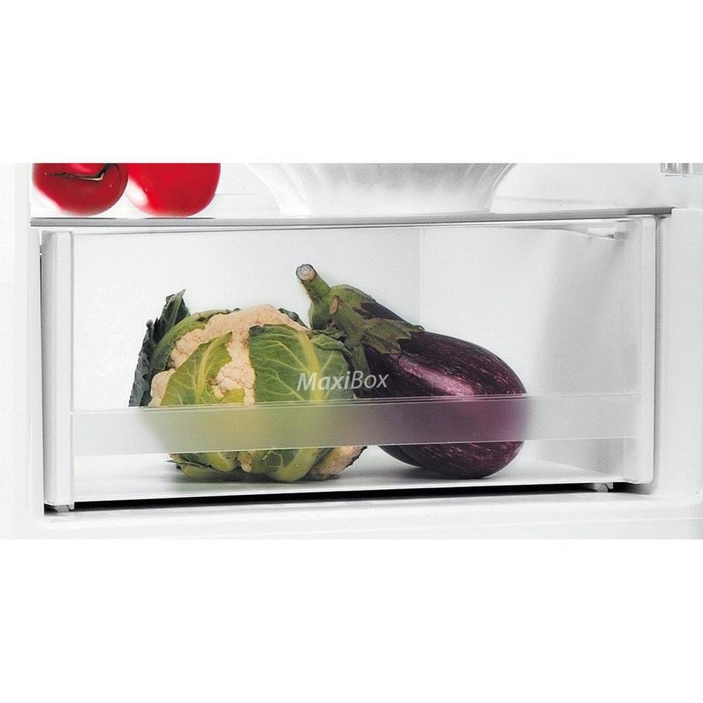 Indesit LI6S1EWUK 60cm Fridge Freezer with Low Frost technology 70-30 split 272L over 15 shopping bags in white | Atlantic Electrics