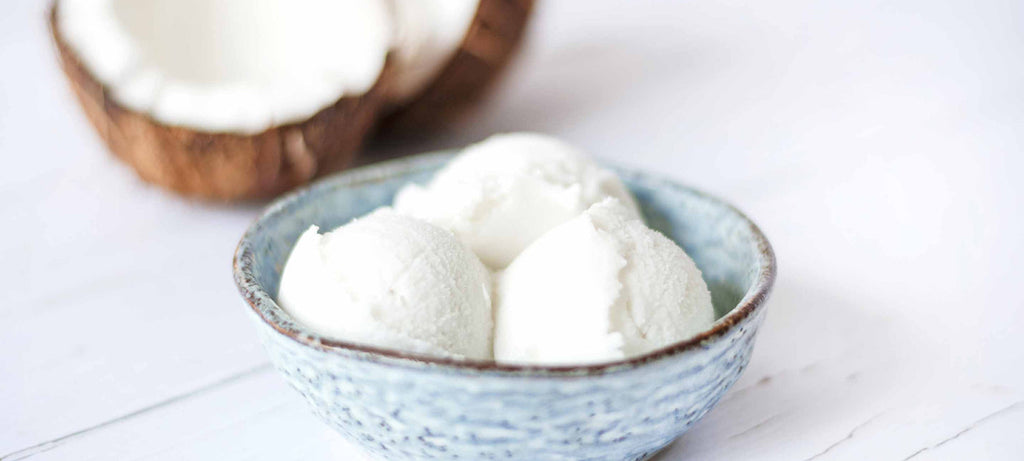 Ninja CREAMi Recipe: Dairy-Free Vanilla Coconut Ice Cream
