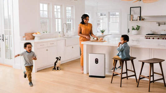 Air Purifiers Buyers Guide