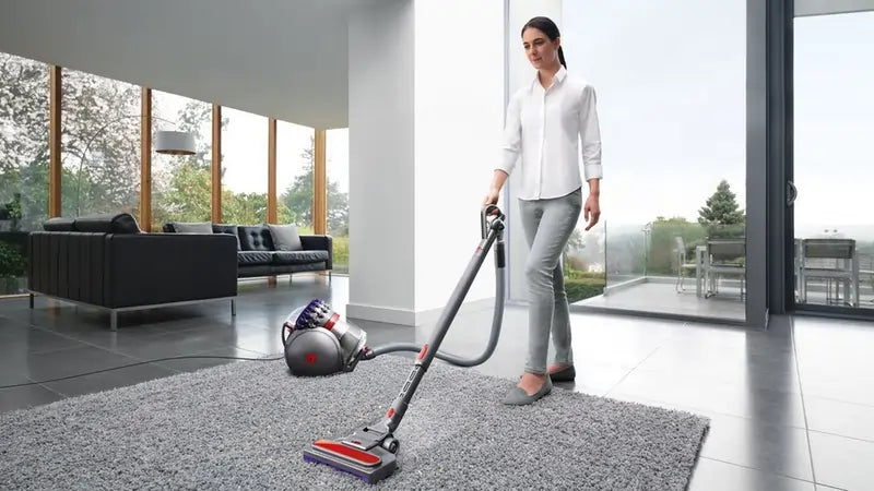 Dyson BIGBALLANIMAL2 Big Ball Animal 2 Corded Vacuum Cleaner, Grey