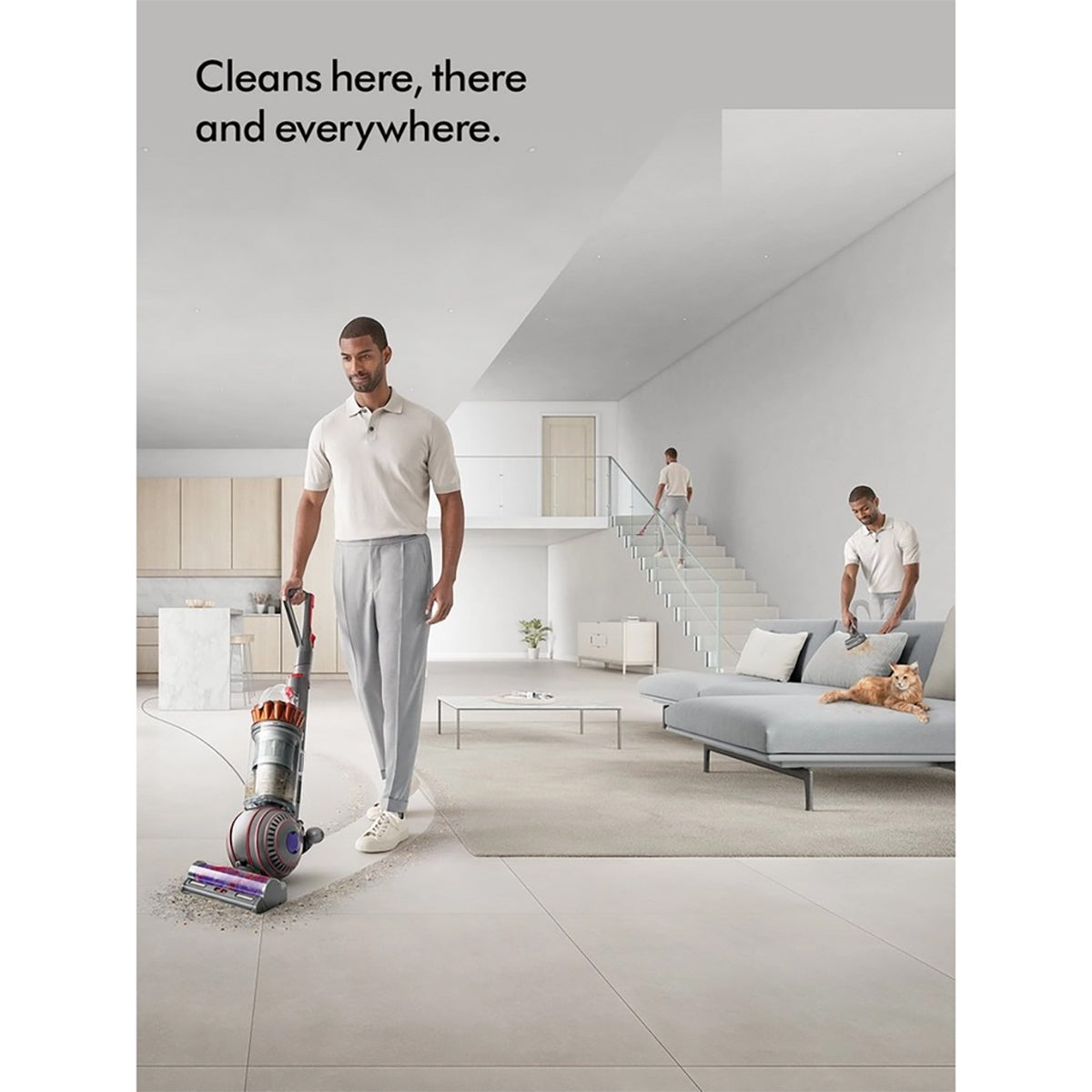 Dyson BALLANIMALMFNEW Ball Animal Multi-Floor Upright Vacuum Cleaner - Silver