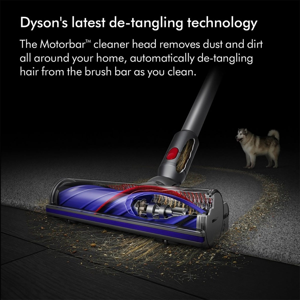 Dyson V11ADVANCED-24 Cordless Vacuum Cleaner, 60 Minutes Run Time - Nickel, Purple