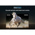 Thumbnail TCL 43C655K 43 QLED 4K Ultra HD Smart TV, Grey, F Rated | Atlantic Electrics- 42731128127711