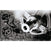 Thumbnail AEG L6FBK841B Freestanding Washing Machine 8kg 1400 Spin - 41222523683039