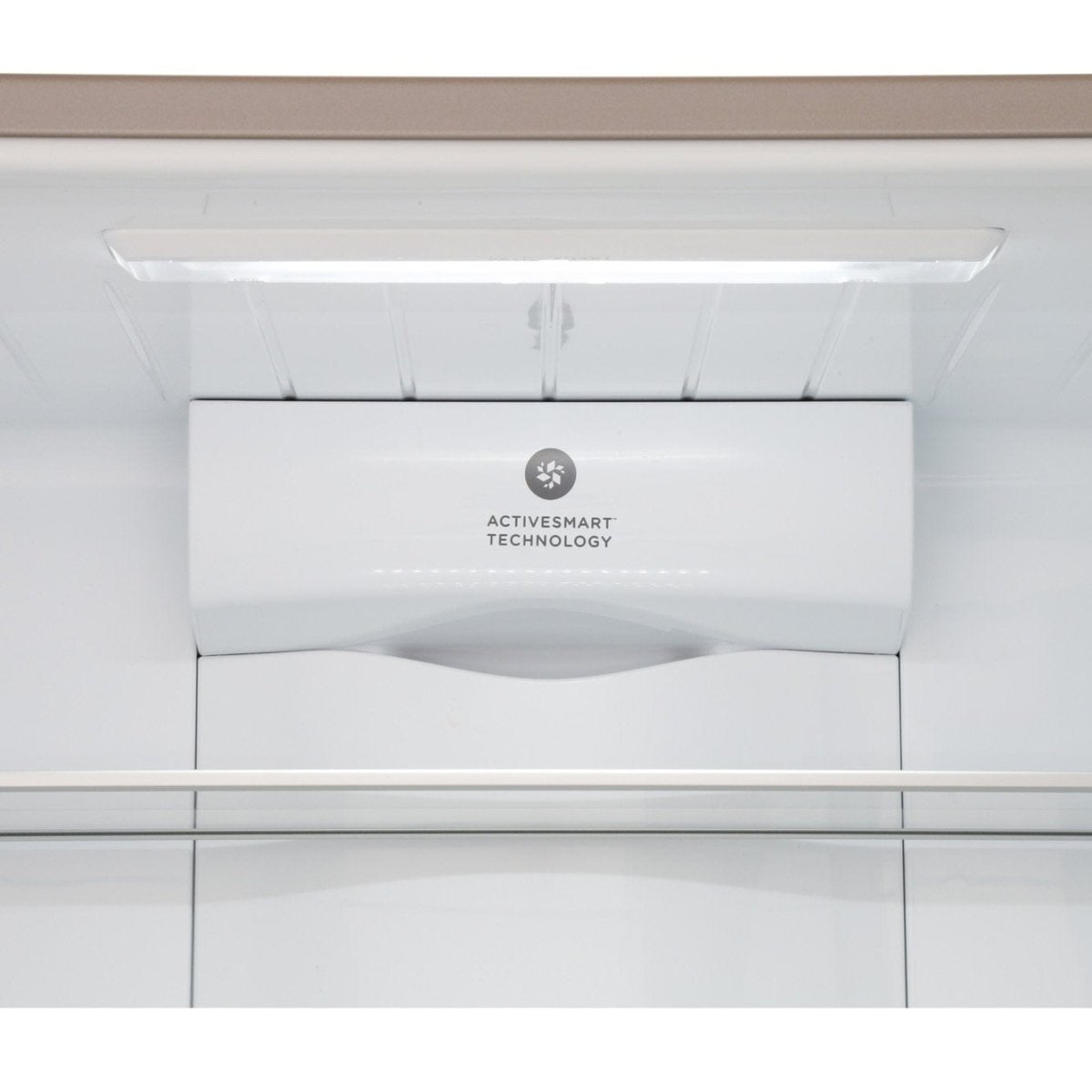 Fisher & Paykel RF522WDRUX5 Plumbed Fridge Freezer Right Door + Drawer 790mm - Ice + Water Stainless Steel, Right Hinge | Atlantic Electrics