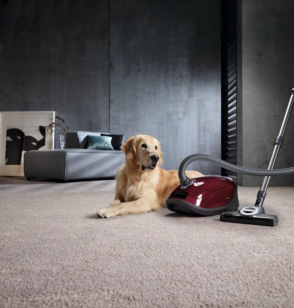 Miele Complete C3 Cat and Dog Bagged Cylinder Vacuum Cleaner Tayberry Red | Atlantic Electrics