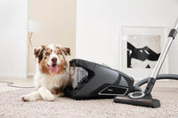Thumbnail Miele CX1BLIZCATDOG Blizzard Comfort Cat & Dog Cylinder Vacuum Cleaner Grey - 39478269575391