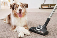 Thumbnail Miele CX1BLIZCATDOG Blizzard Comfort Cat & Dog Cylinder Vacuum Cleaner Grey - 39478269608159