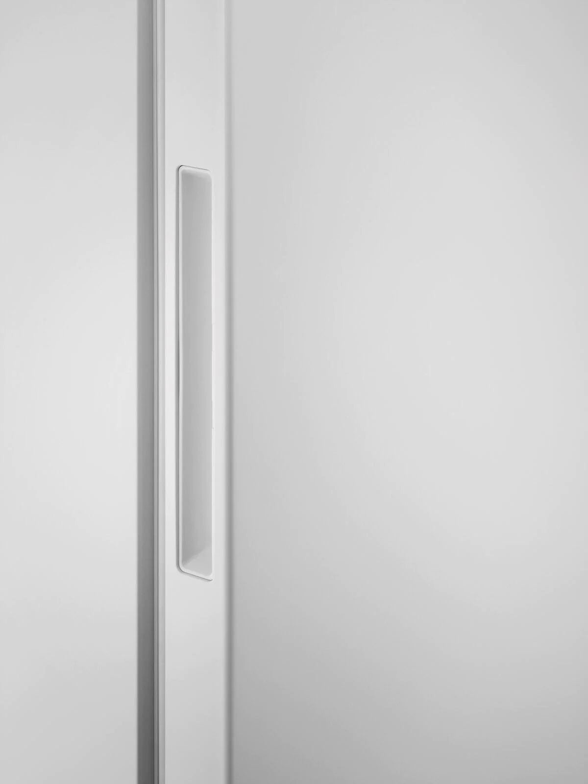 Zanussi ZRME38FW2 380 Litre Tall Freestanding Larder Fridge - White | Atlantic Electrics